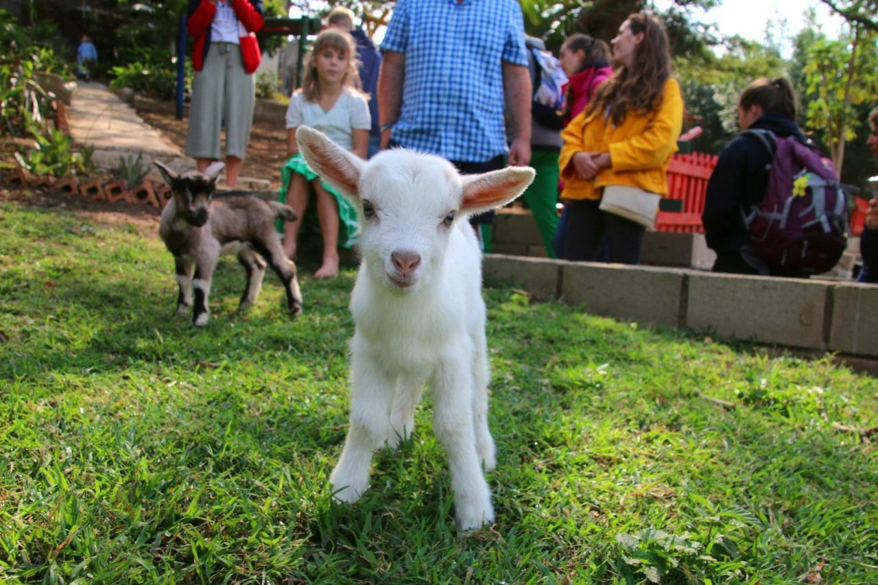 Cheese Farm & Lodge Mtubatuba 외부 사진